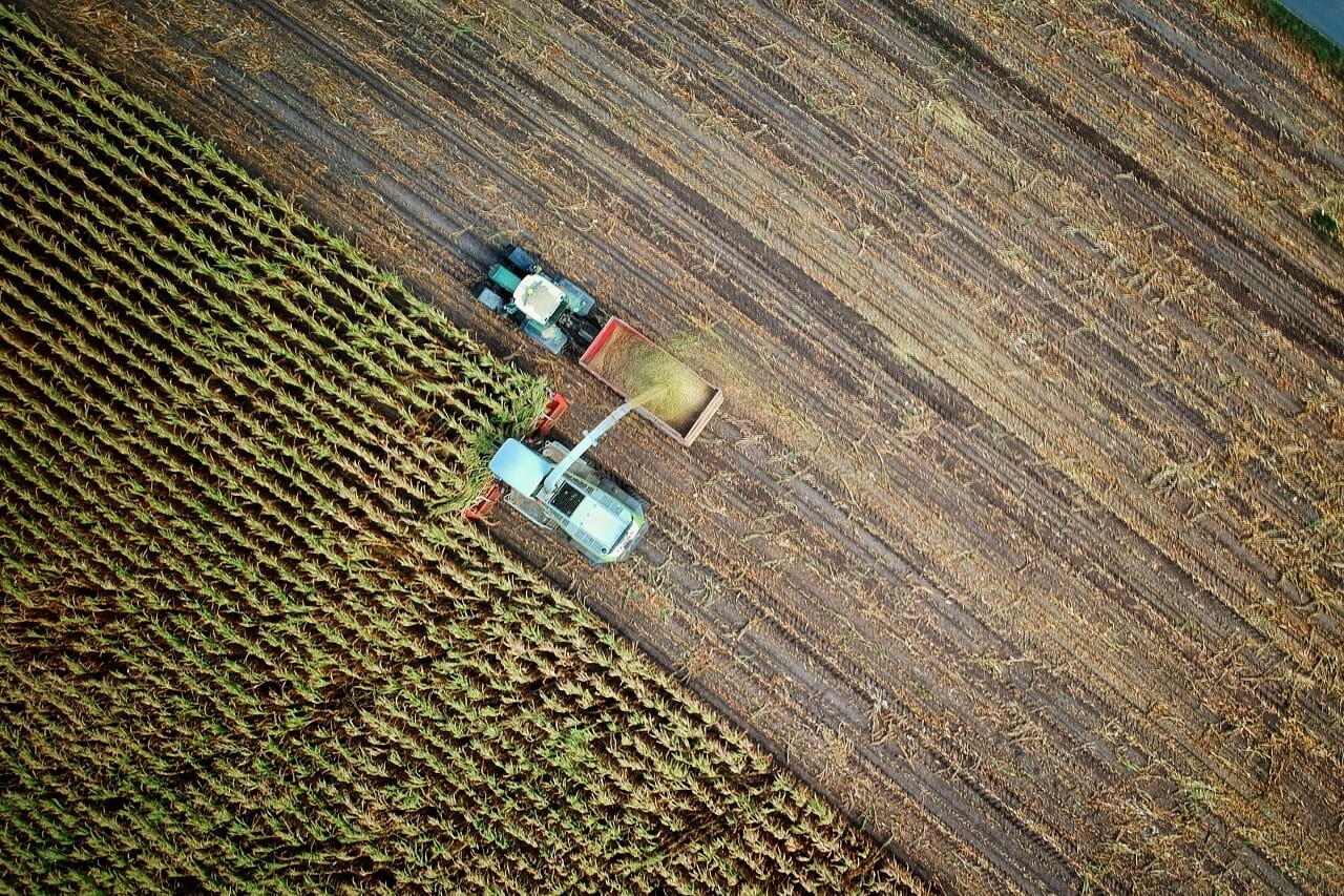 The leak in our ship How lack of agricultural research is hurting Nigeria
